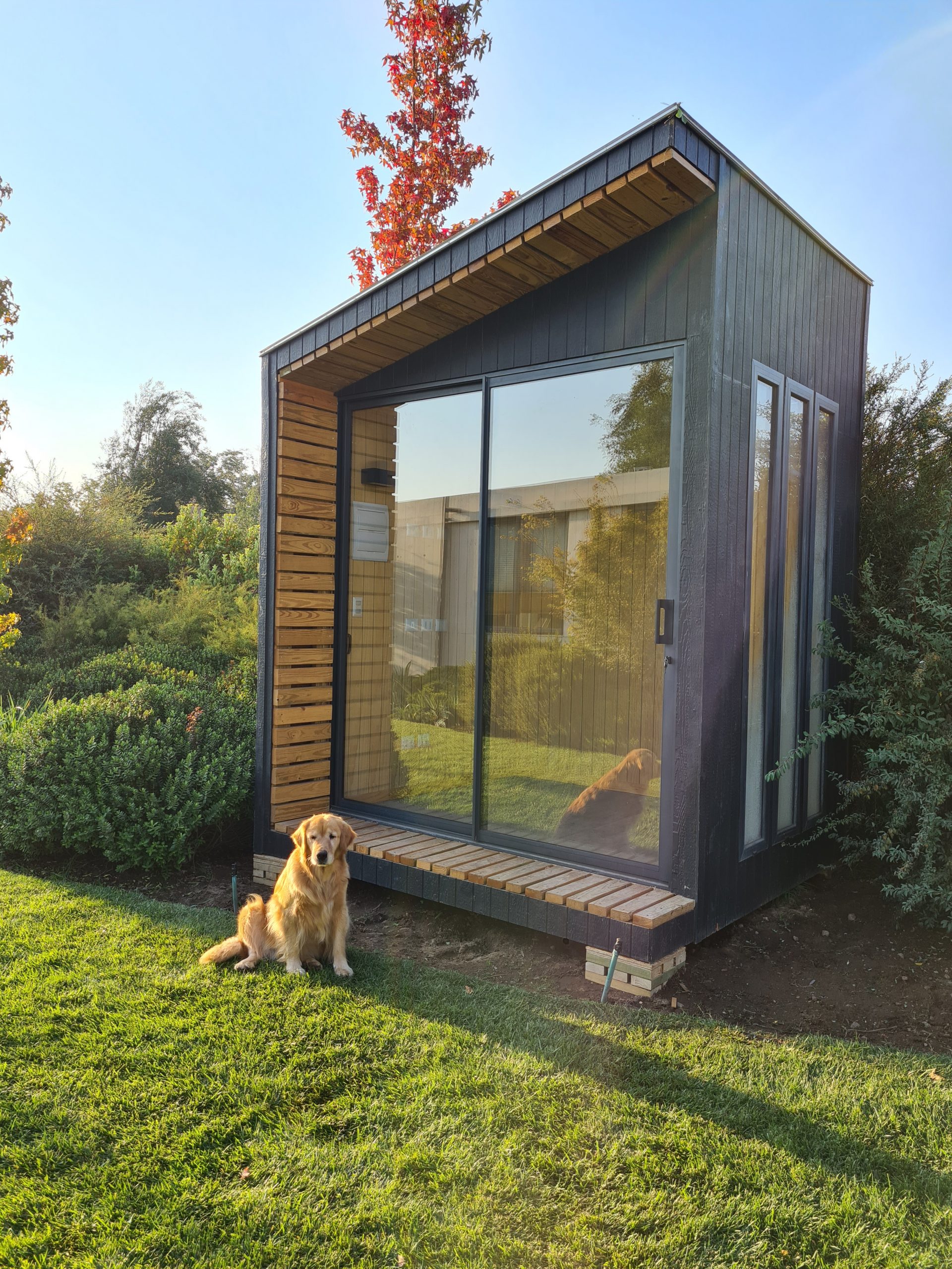 Una moderna casa modular con amplios ventanales, ideal como segunda vivienda, rodeada de naturaleza y con un perro disfrutando del espacio. Tecno Fast Home.